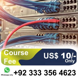 Cisco L2 Switches-Vlan and Trunking