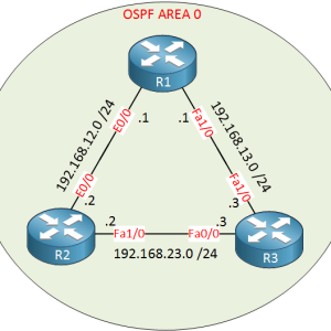 OSPF routing in a Single Area
